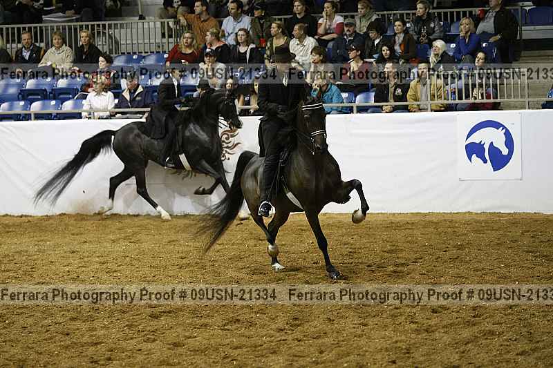 Proof 09usn-21334