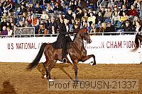 09usn-21337 proof