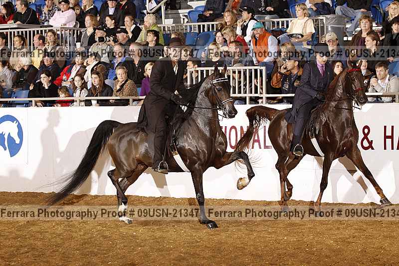 Proof 09usn-21347