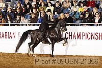 09usn-21356 proof