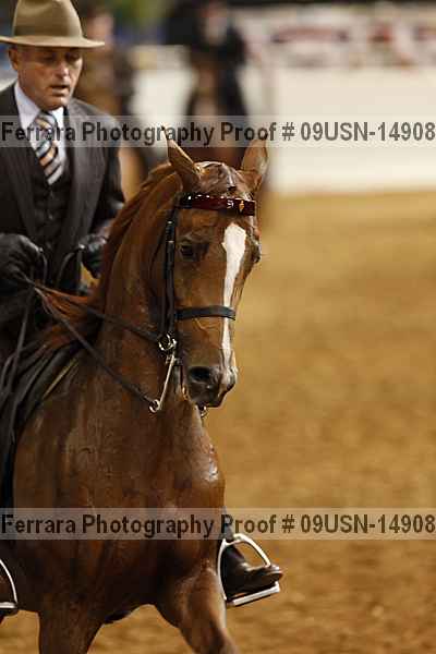 Proof 09usn-14908