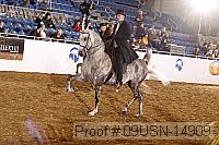 09usn-14909 proof