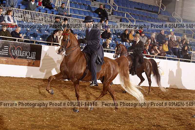 Proof 09usn-14918