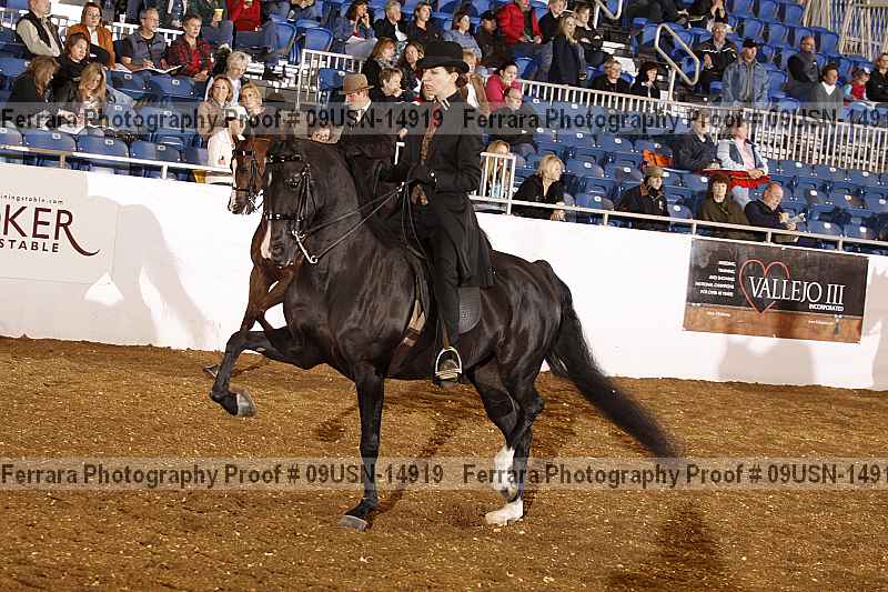 Proof 09usn-14919