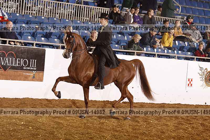 Proof 09usn-14982