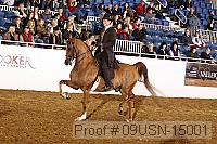 09usn-15001 proof