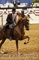 09usn-15018 proof