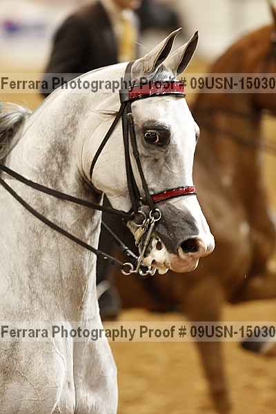Proof 09usn-15030