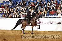 09usn-15032 proof