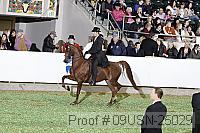 09usn-25029 proof
