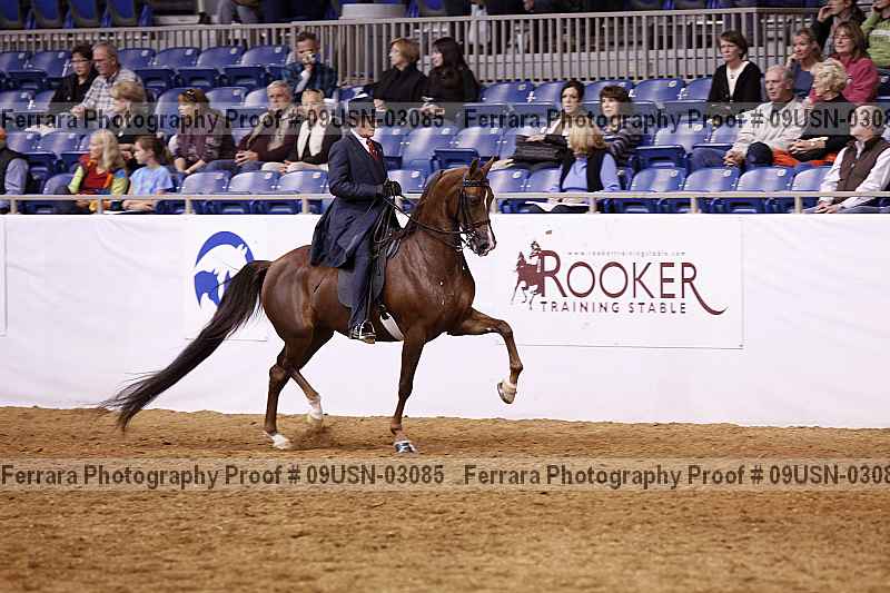 Proof 09usn-03085