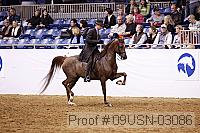 09usn-03086 proof