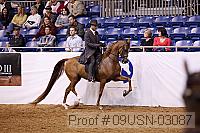 09usn-03087 proof