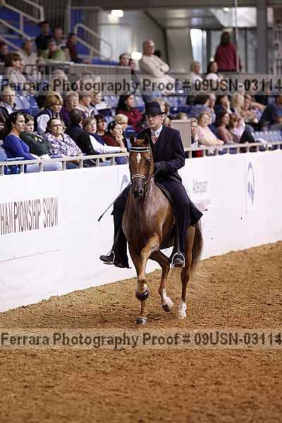 Proof 09usn-03114