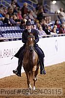 09usn-03115 proof