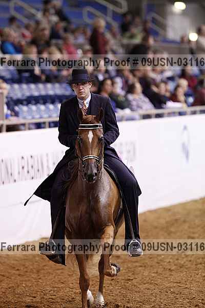 Proof 09usn-03116