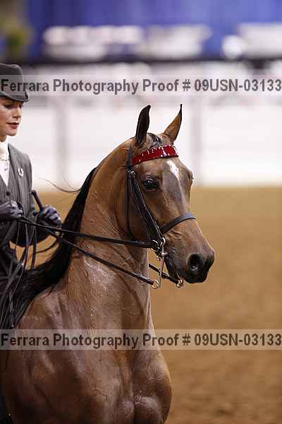 Proof 09usn-03133