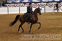09usn-03349 proof