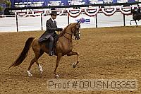 09usn-03353 proof