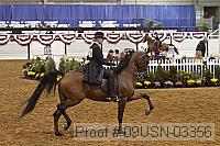 09usn-03356 proof