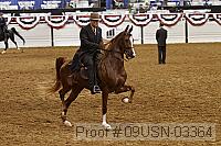 09usn-03364 proof