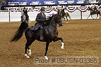 09usn-03365 proof