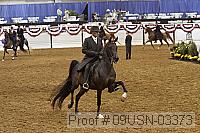 09usn-03373 proof
