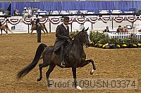 09usn-03374 proof