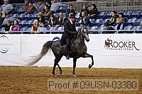 09usn-03380 proof