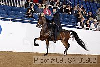 09usn-03602 proof