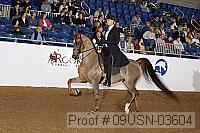 09usn-03604 proof