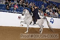 09usn-03605 proof