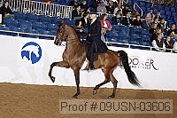09usn-03606 proof