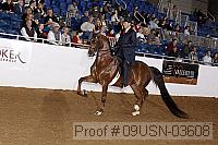 09usn-03608 proof