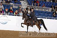 09usn-03613 proof