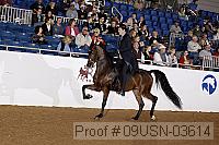 09usn-03614 proof
