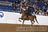 09usn-03615 proof