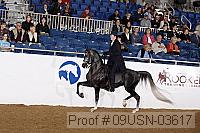 09usn-03617 proof