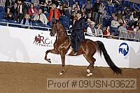 09usn-03622 proof