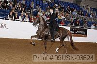 09usn-03624 proof