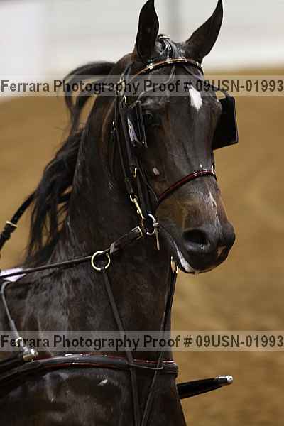 Proof 09usn-01993