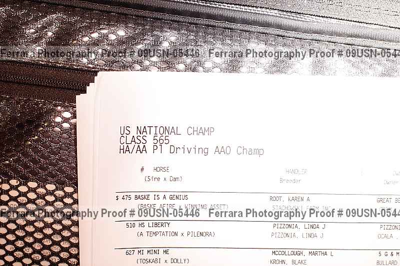 Proof 09usn-05446