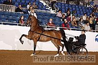 09usn-05466 proof