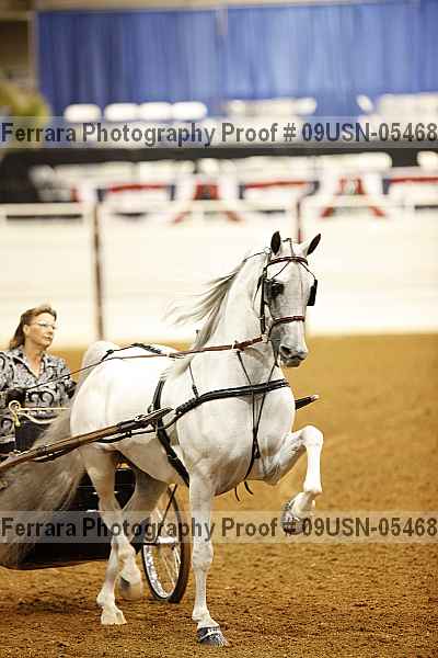 Proof 09usn-05468