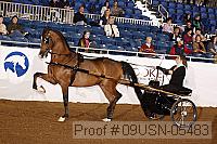 09usn-05483 proof