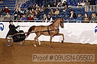 09usn-05502 proof