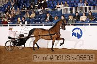 09usn-05503 proof