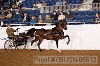 09usn-05512 proof