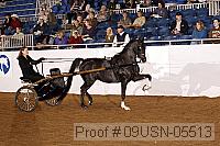 09usn-05513 proof
