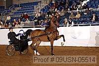 09usn-05514 proof